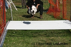 gamenessfuntreff-2012-039
