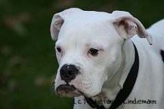gamenessfuntreff-2012-041