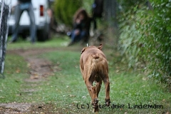 gamenessfuntreff-2012-046