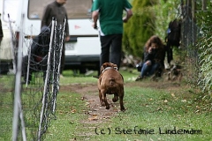 gamenessfuntreff-2012-047