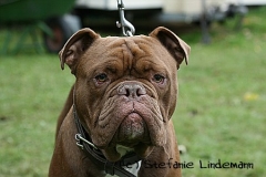 gamenessfuntreff-2012-050
