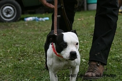 gamenessfuntreff-2012-051