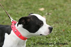 gamenessfuntreff-2012-052