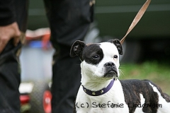 gamenessfuntreff-2012-054