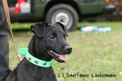 gamenessfuntreff-2012-055