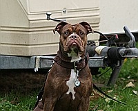gamenessfuntreff-2012-056