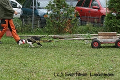 gamenessfuntreff-2012-057