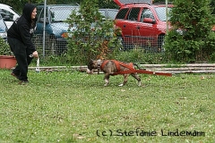 gamenessfuntreff-2012-058