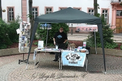 001-mainz-2013