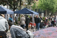 004-mainz-2013