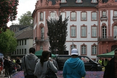 005-mainz-2013