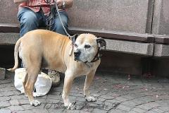 010-mainz-2013