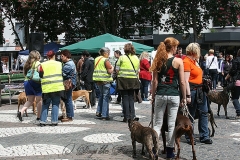 012-mainz-2013