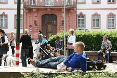 015-mainz-2013