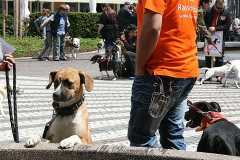 016-mainz-2013