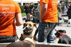 017-mainz-2013