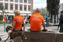 021-mainz-2013