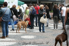 023-mainz-2013