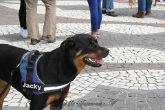 024-mainz-2013