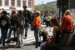 030-mainz-2013