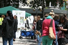 031-mainz-2013