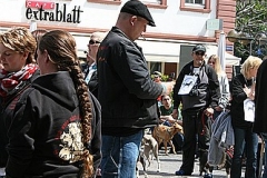 032-mainz-2013