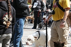 033-mainz-2013