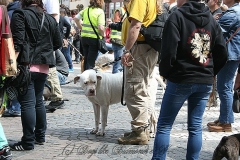 036-mainz-2013