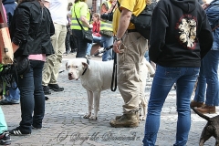 037-mainz-2013