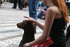 038-mainz-2013