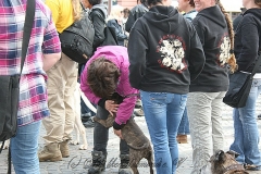 040-mainz-2013