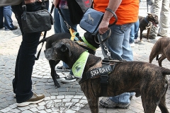 041-mainz-2013