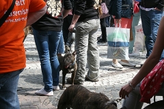 042-mainz-2013