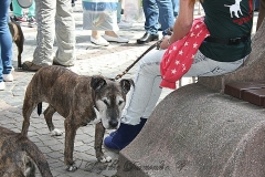 043-mainz-2013