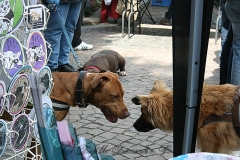 044-mainz-2013