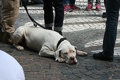 052-mainz-2013