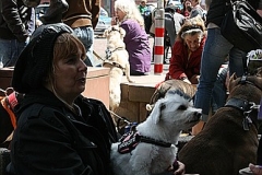 053-mainz-2013