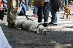 056-mainz-2013