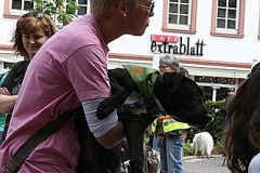 057-mainz-2013