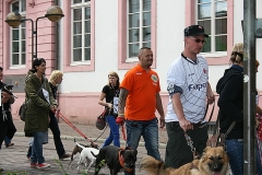 060-mainz-2013