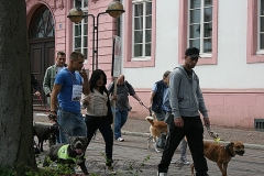 061-mainz-2013