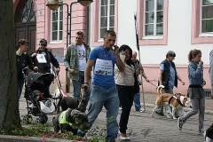 062-mainz-2013