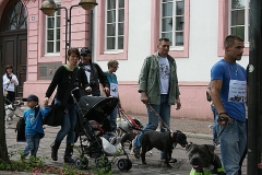 063-mainz-2013