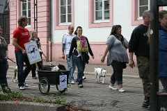 064-mainz-2013