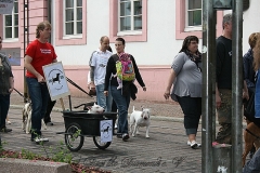 065-mainz-2013