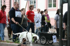 066-mainz-2013