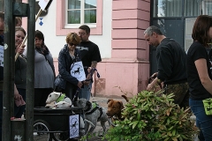 068-mainz-2013