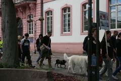 070-mainz-2013