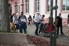 073-mainz-2013
