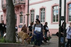 074-mainz-2013